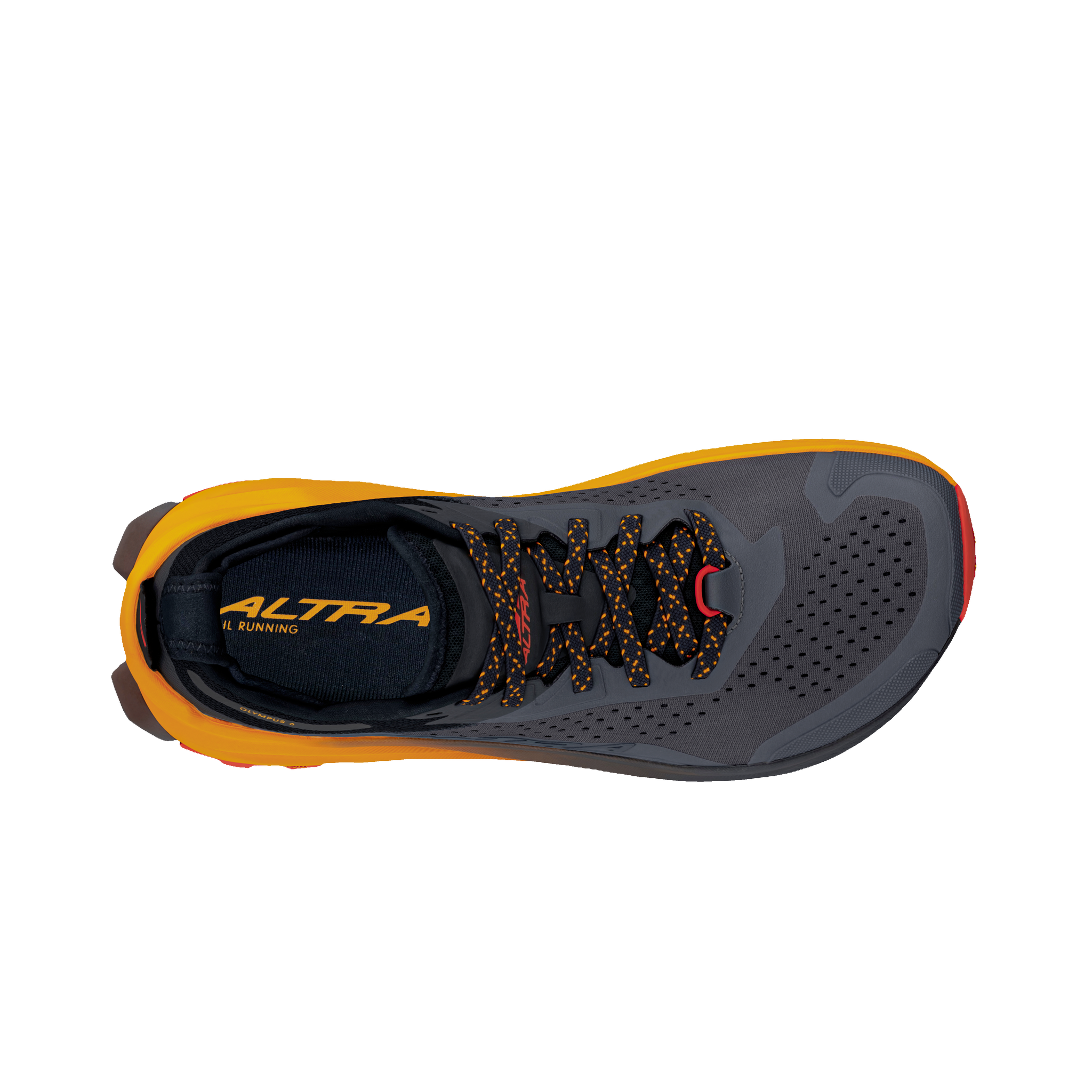Men's Altra Olympus 6