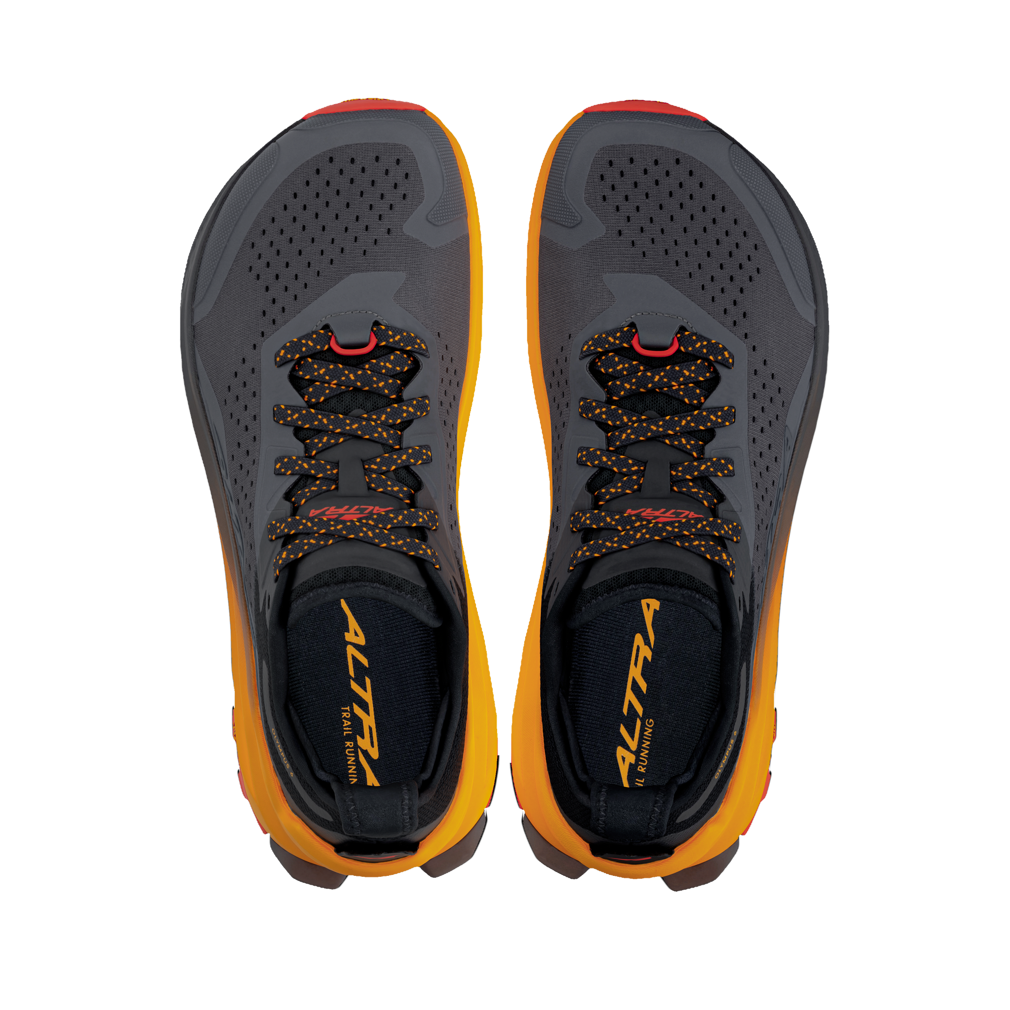 Men's Altra Olympus 6