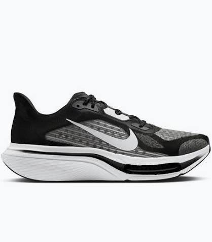 Men's Nike Pegasus Plus 2